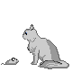 ねずみの玩具に猫パンチする長毛の猫のGIFアニメ