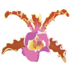ショーンパキアの花のイラスト
