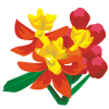 トウワタの花のイラスト