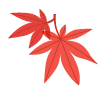 紅葉するカエデの葉のイラスト