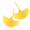 黄葉するイチョウの葉のイラスト