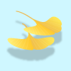 黄葉するいちょうの葉が水に浮かぶイラスト
