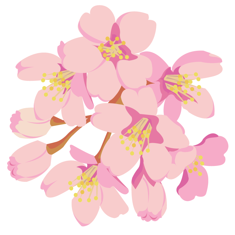 日本の花のイラスト